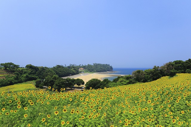 「花の岬」　真玉温泉山翆荘 メイン画像